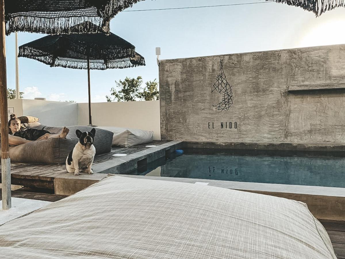 Boutique Hotel El Nido Holbox Esterno foto